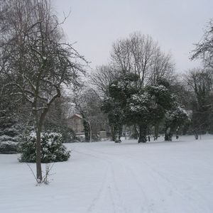 
                                Eringerfeld im Winter
                            