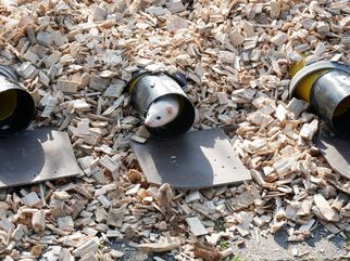 Vieh- und Krammarkt Gösselkirmes 2022