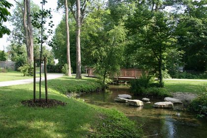 Der Stadtpark Thoholte