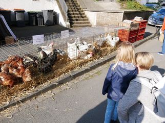 Vieh- und Krammarkt Gösselkirmes 2022