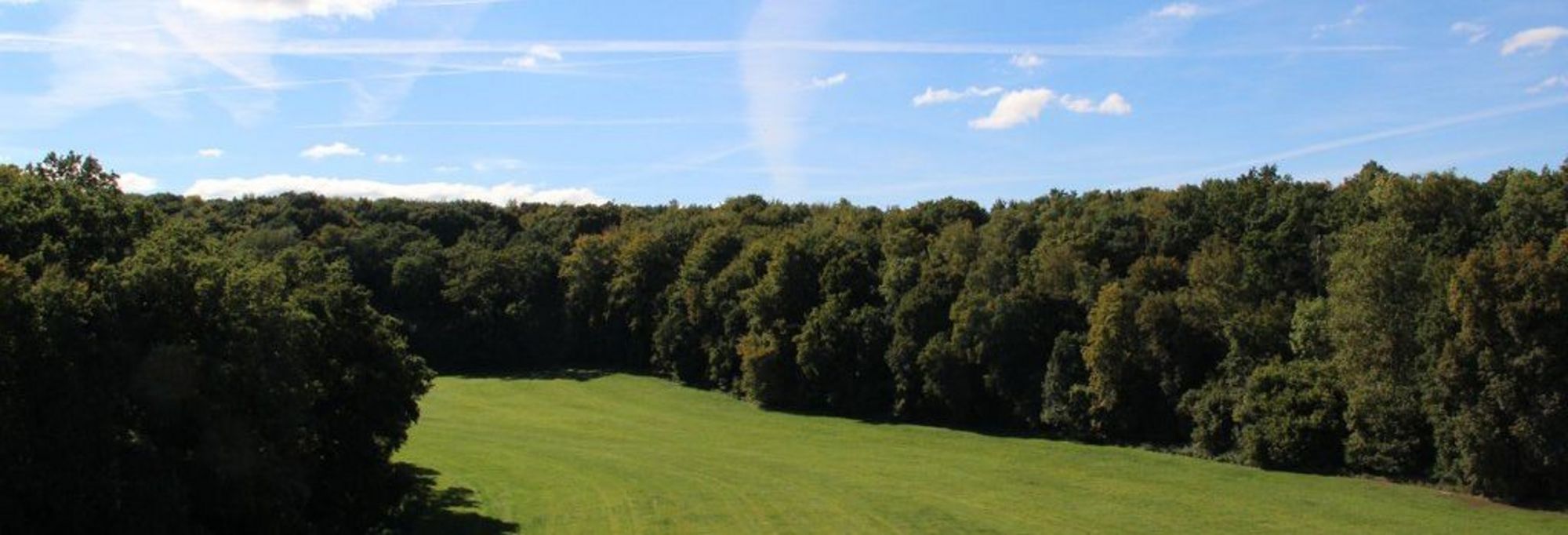 Naturschutzgebiet Westerschledde