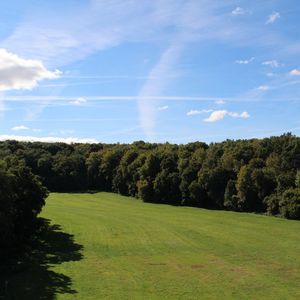 
                                Naturschutzgebiet Westerschledde
                            