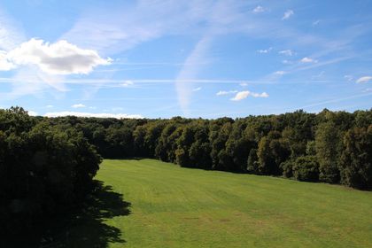 Naturschutzgebiet Westerschledde