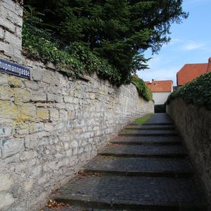 
                                Schupmanngasse
                            