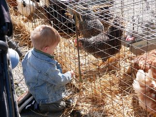 Vieh- und Krammarkt Gösselkirmes 2022