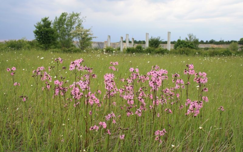 Pilgern - Wandern - Radfahren