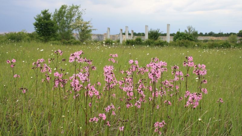 Pilgern - Wandern - Radfahren