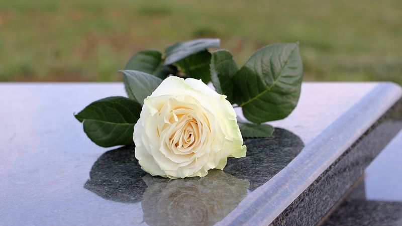 Sarg mit weißer Rose