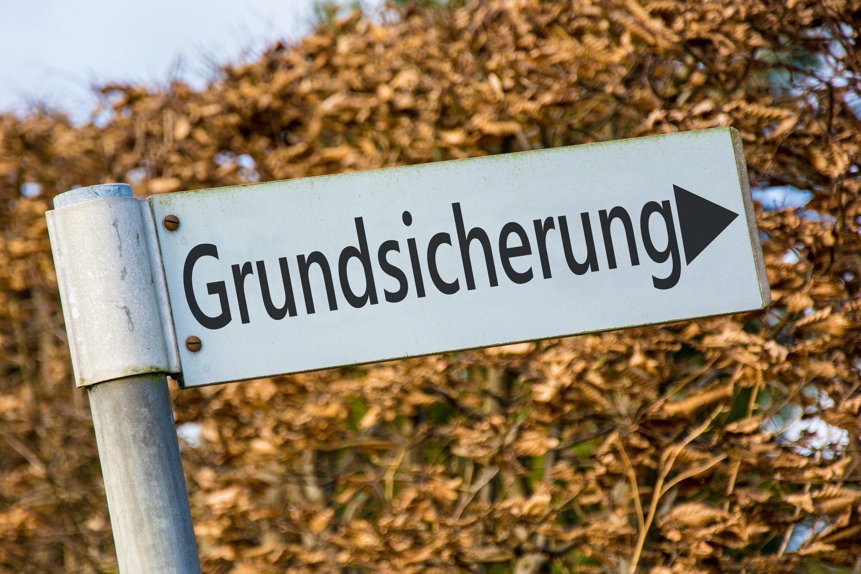 Grundsicherung nach dem SGB XII